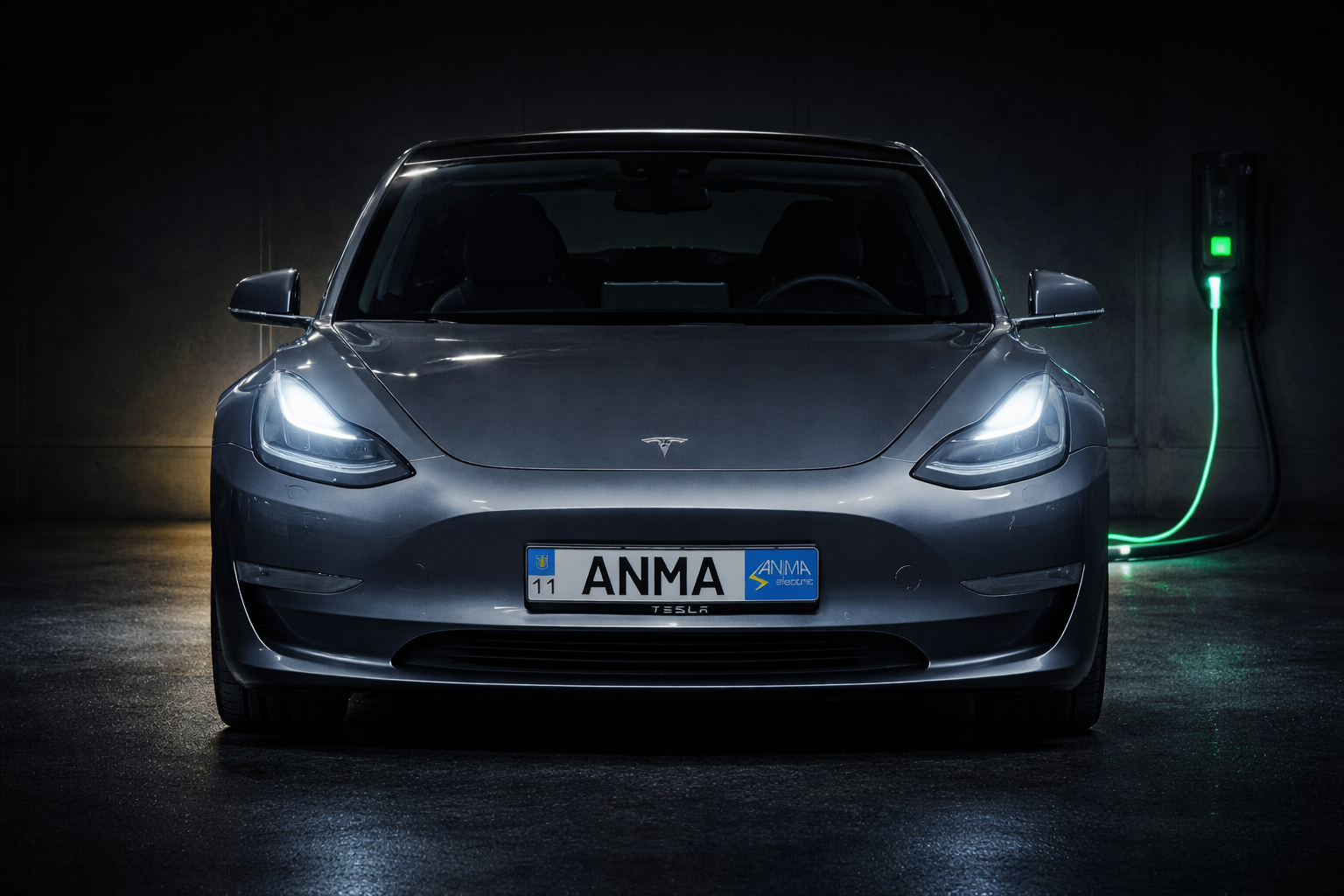 Tesla заряджається від енергосистеми